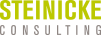 Steinicke Consulting Logo